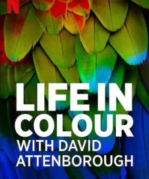 David Attenborough: Sự sống đầy màu sắc