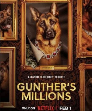 Gunther - Chú chó triệu phú