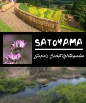 SATOYAMA: Khu Vườn Thủy Sinh Tuyệt Vời